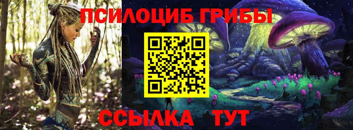 Курчатов  Галлюциногенные грибы мицелий  Вход с VPN 